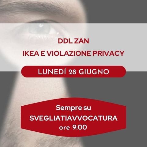 DDL ZAN - IKEA E VIOLAZIONE PRIVACY #SvegliatiAvvocatura