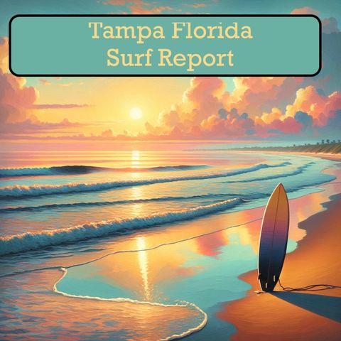 Tampa, FL Surf Report for 06-18-2024