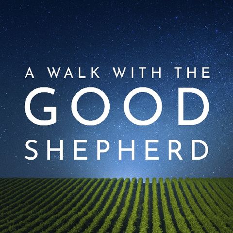 A Walk With The Good Shepherd