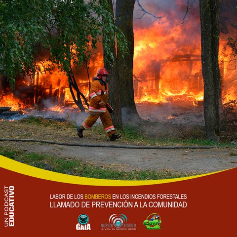 NUESTRO OXÍGENO Labor de los bomberos en los incendios forestales-llamado a la prevención – Hugo Daniel Lemos