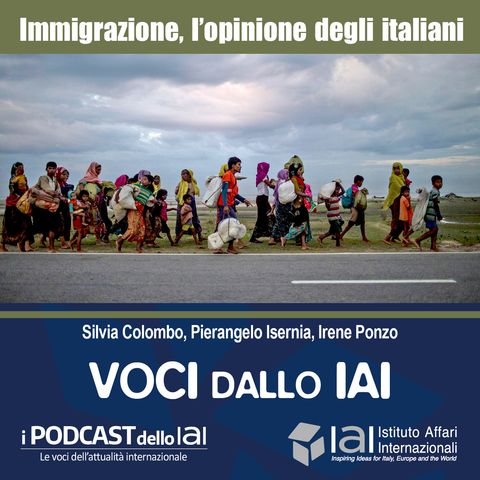 Immigrazione, l'opinione degli italiani