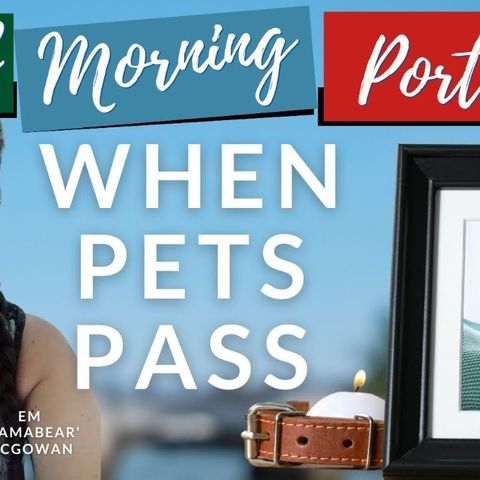 When Pets Pass )-: A Good Morning Portugal! Special with Em McGowan