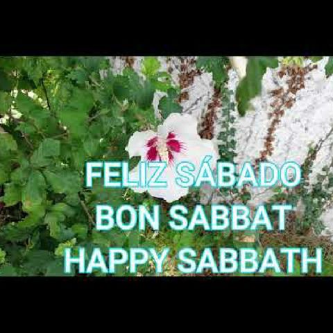 Feliz Sabado Happy Sabbath