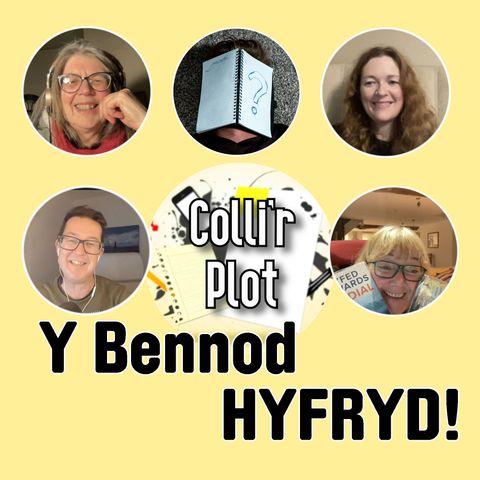 Y Bennod Hyfryd