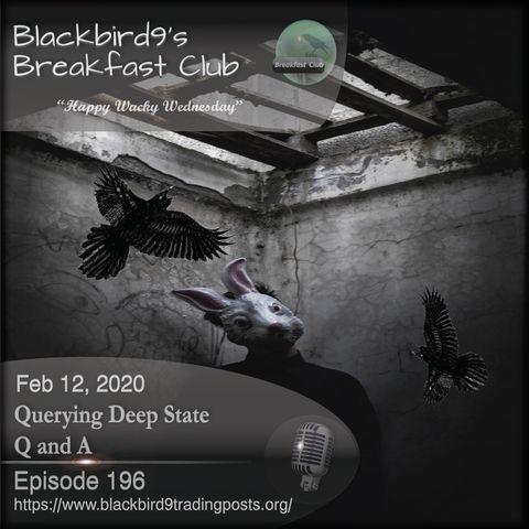 Querying Deep State Q and A - Blackbird9 Podcast