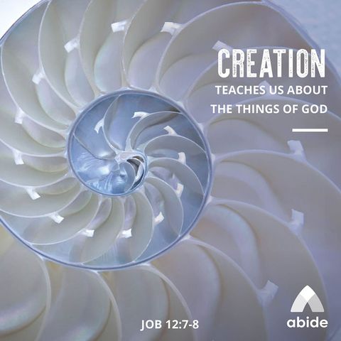God's Divine Design