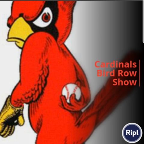 Cardinals Red Bird Row