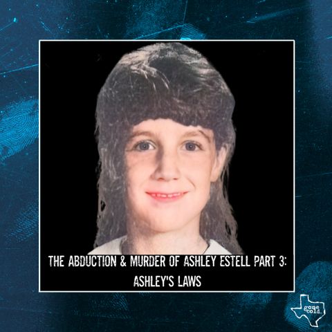 The Abduction & Murder of Ashley Estell Part 3: Ashley’s Laws