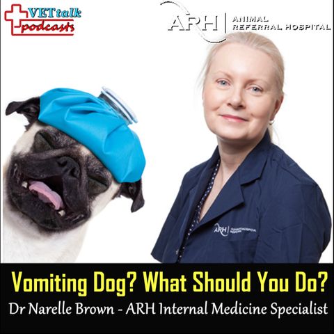 Vomiting Dog? Dr Narelle Brown & Dr Sarah Goldsmid