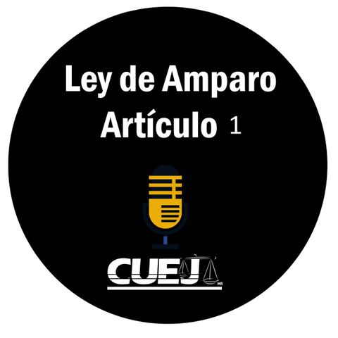 Ley amparo Artículo 1