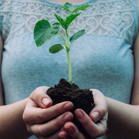 “La Svolta”: Impariamo a coltivare con la Biblioteca di semi
