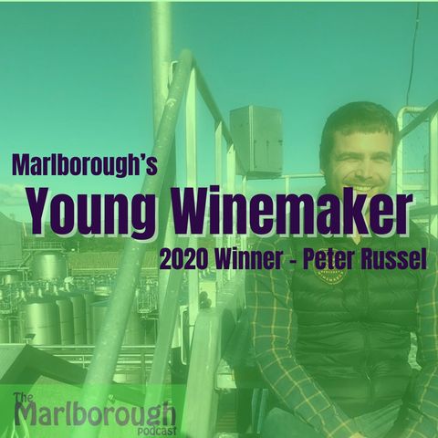 Young Winemaker of the Year “20