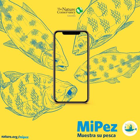 MiPez: la APP de ciencia ciudadana que visibiliza la pesca (FB LIVE)