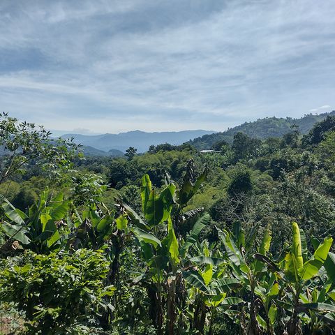 Ecuador, jóvenes del Chocó Andino resistiendo a la minería