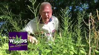 Hemp 101 host, Lance Kreck former Green Beret US Army on In The Weeds this week!