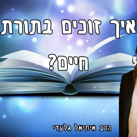 הרב איתיאל גלעדי | איך זוכים ב״תורת חיים״ | עלון נפלאות לפרשת בהעלותך
