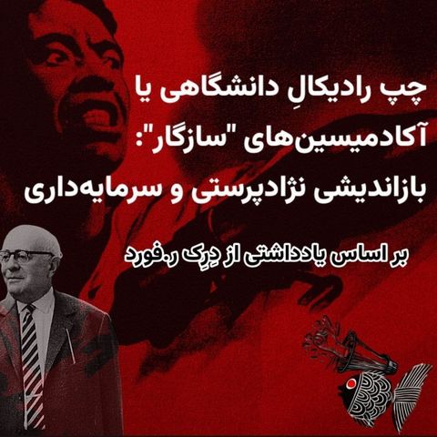 چپ رادیکالِ دانشگاهی یا آکادمیسین‌های "سازگار": بازاندیشی نژادپرستی و سرمایه‌داری- بر اساس یادداشتی از دِرِک ر.فورد