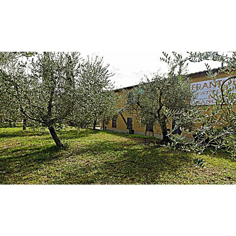 Frantoio Fattoria del Biancheto a Cetona (Toscana)