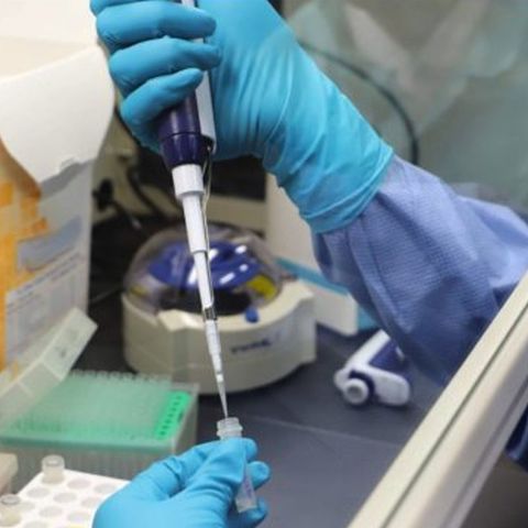México participa en PCR de OPS