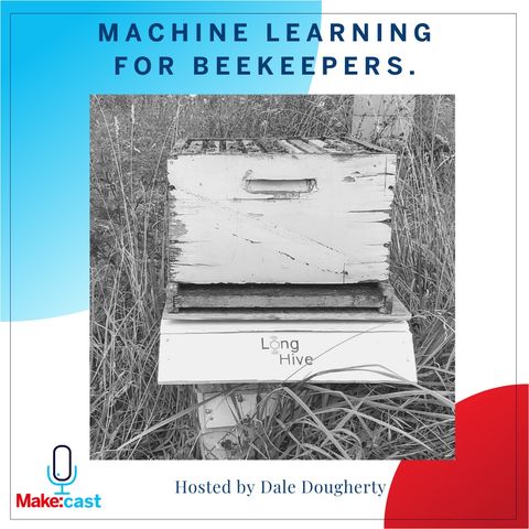 Machine Learning for Beekeepers