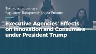 Executive Agencies' Effects on Innovation and Consumers under President Trump