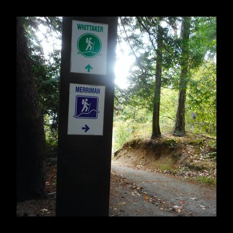 Exploring the Merriman Trail