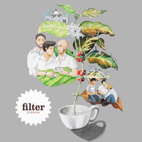 Is your coffee building Trump's wall? Part 3: Requiem for a Coffee Republic