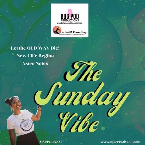 The Sunday Vibe | New Life Begins | Creative Explosion