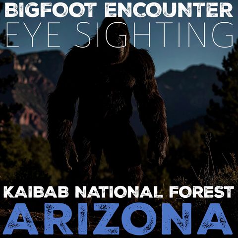 BIGFOOT EYE SIGHTING ENCOUNTER IN THE KAIBAB NATIONAL FOREST (MOGOLLON RIM) THE RED GLOWING EYES!