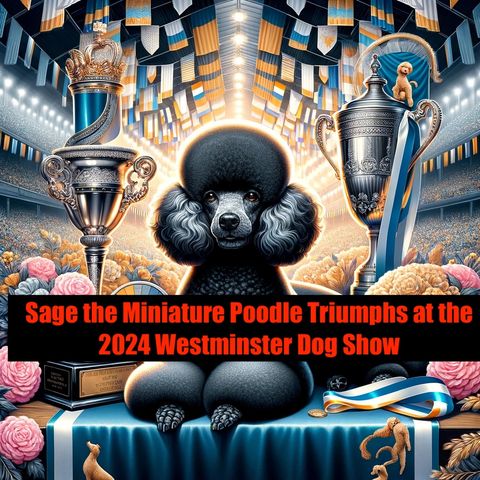 Sage the Miniature Poodle Triumphs at the 2024 Westminster Dog Show