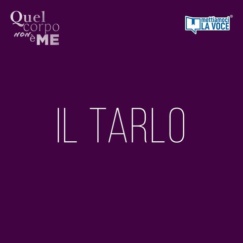 Il Tarlo