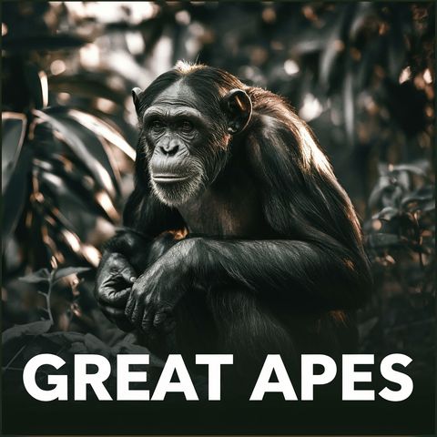 Copertina del podcast