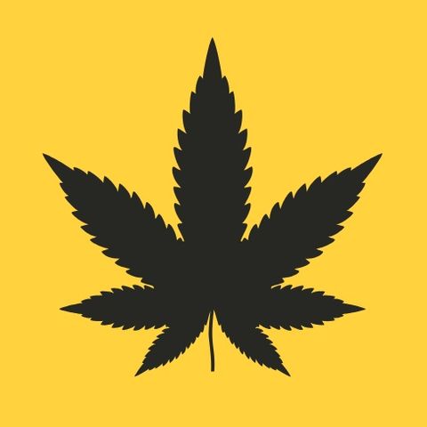 Cánabis é só uma planta!