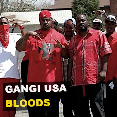 Gangi USA. Bloods - Kryminalne Opowieści Świat
