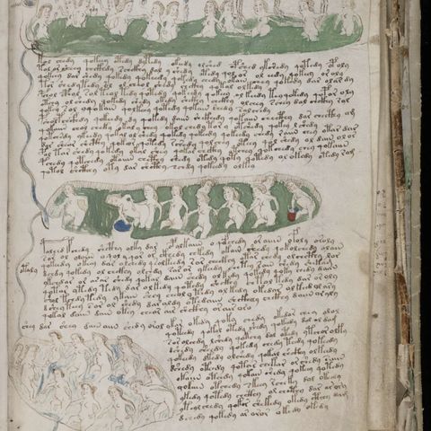 49. The Voynich Manuscript
