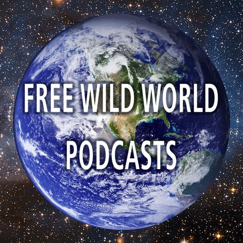 The Shamanic Way - Thom Glenn & A€iden Swan - Free Wild World Podcast #22