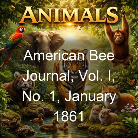 Constructive Beekeeping-Ed H. Clark