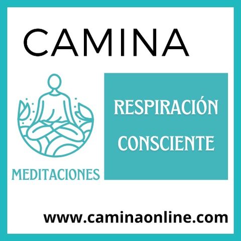 🧘‍♀️ MEDITACIÓN GUIADA DE RESPIRACIÓN CONSCIENTE (10 minutos)