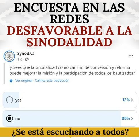 Encuesta en las redes es desfavorable a la sinodalidad. ¿Se está escuchando realmente a todos?