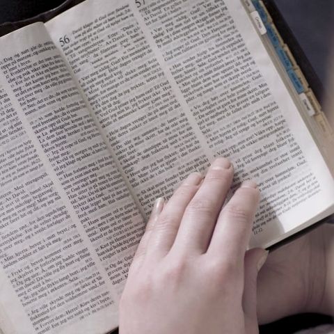 Conservative Groups in Texas Attack Gay Rights Proposals as Effort to ‘Ban the Bible’ +