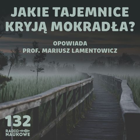 #132 Mokradła, bagna, torfowiska - portale między przeszłością a przyszłością | prof. Mariusz Lamentowicz