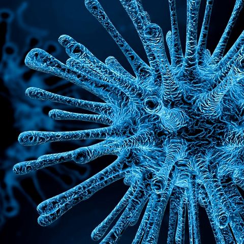 Hay 936 casos confirmados de coronavirus en el mundo