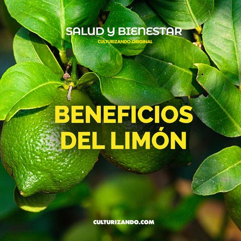 Beneficios del limón • Salud y Bienestar • Culturizando
