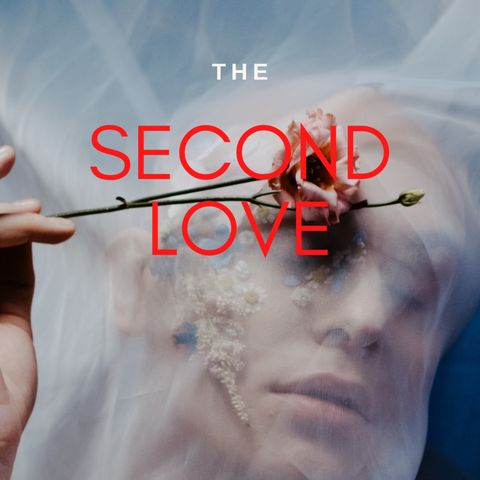 Vidyanag's NEW AUDIO NOVEL - THE SECOND LOVE