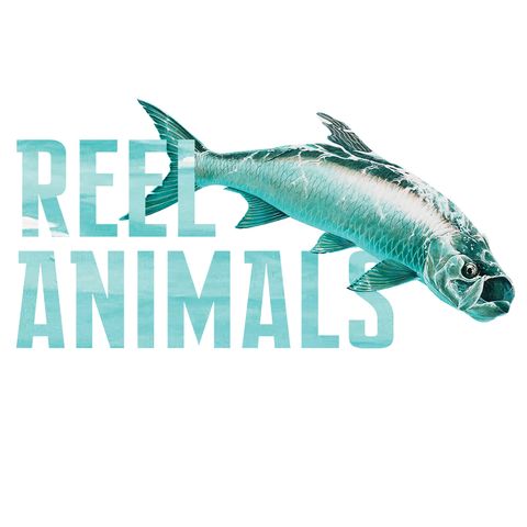 Reel Animals with Leiza Fitzgerald of CCA Pt.2