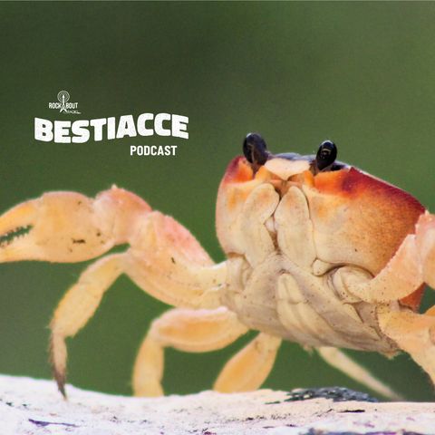 Ep. 03 · Crostacei