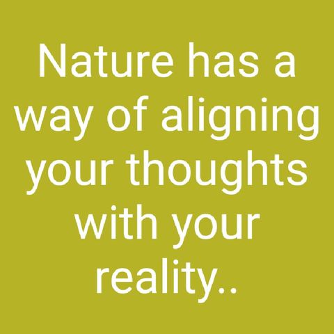 Nature Has A Way Of Aligning Your Thoughts With Your Reality