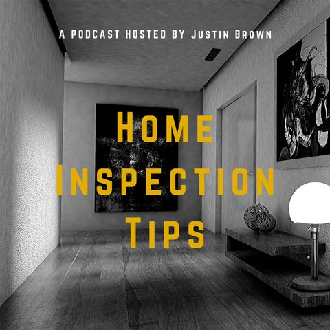Why You Need a Mold Inspection