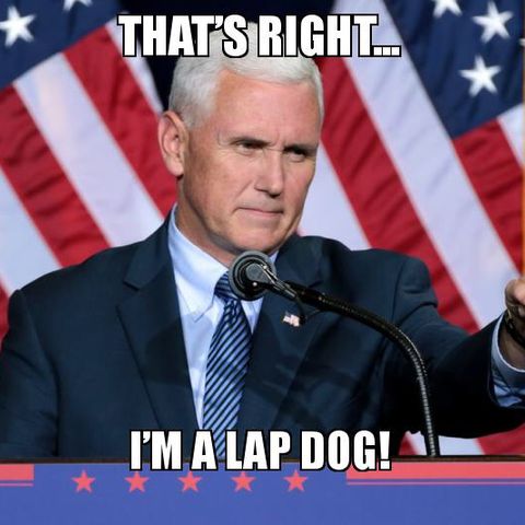 Mike Pence proves he’s Trump’s Lap Dog