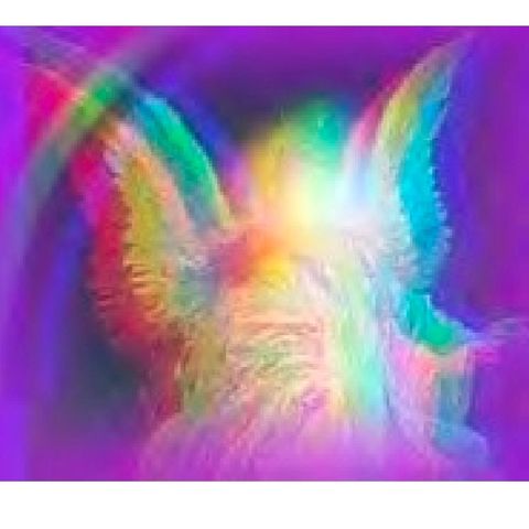 Connect To Inner Angel - Angel Attunement